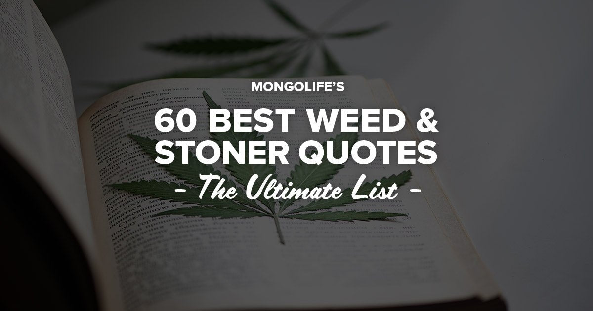 60 Best Weed and Stoner Quotes - The Ultimate List