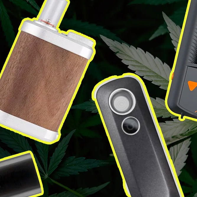 Everything You Need to Know About Dry Herb Vaporizers