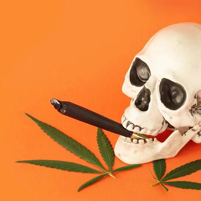 Our Favorite Stoner Halloween Costumes This Year