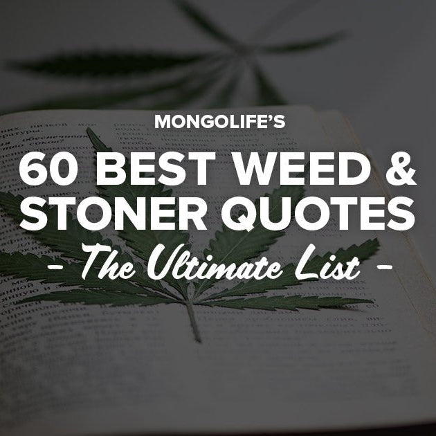 60 Best Weed and Stoner Quotes - The Ultimate List