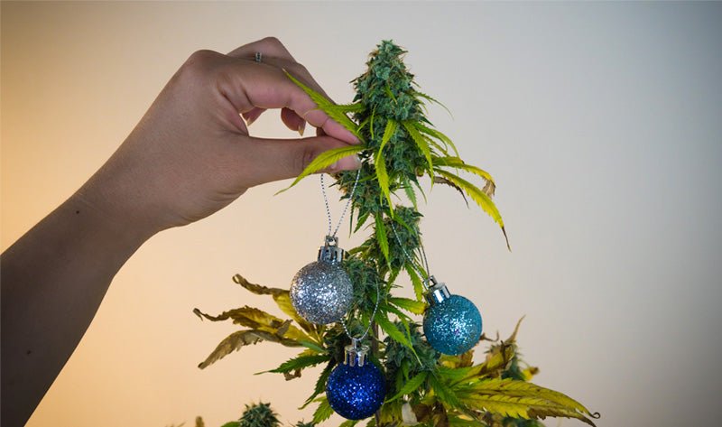 7 Weed Decorations and Ornaments for Christmas
