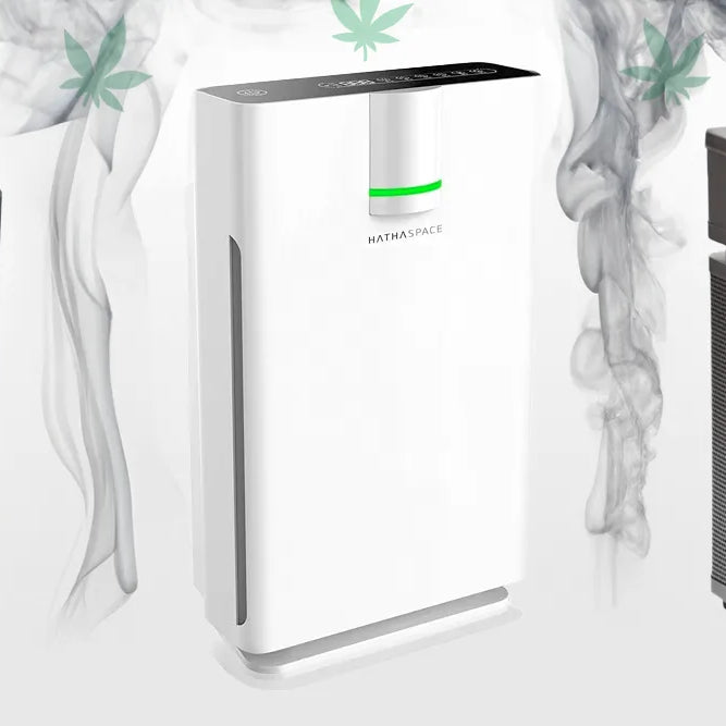 Top Air Purifier for Weed Smoke: Basic, Premium, and Pro Models