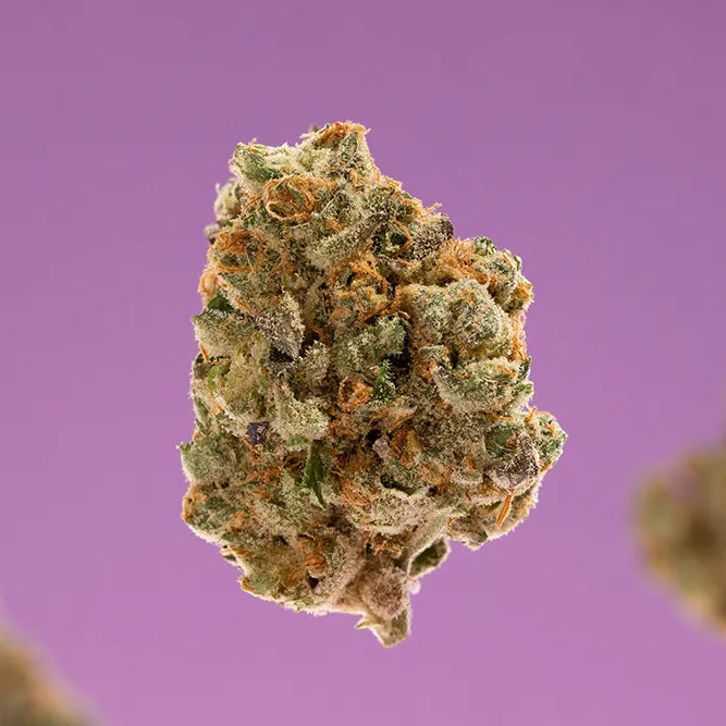 Beginner’s Bud: Best Cannabis Strains for New Users