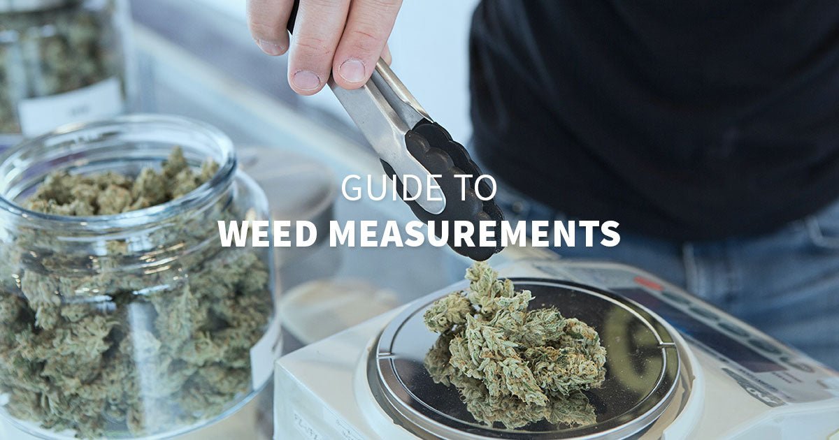 Guide to Cannabis and Weed Measurements