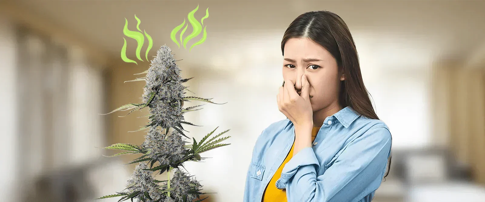 How To Remove Weed Smell: Methods That Work