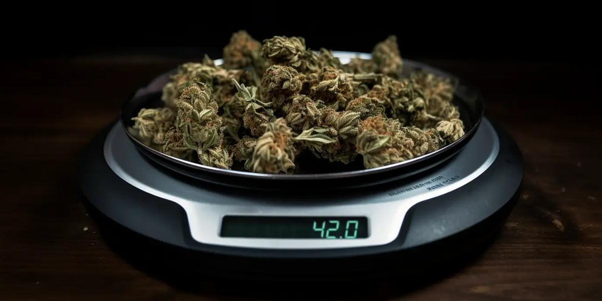 Weed Grams Guide Ounces, Quarters, Eighths and more — Mongolife