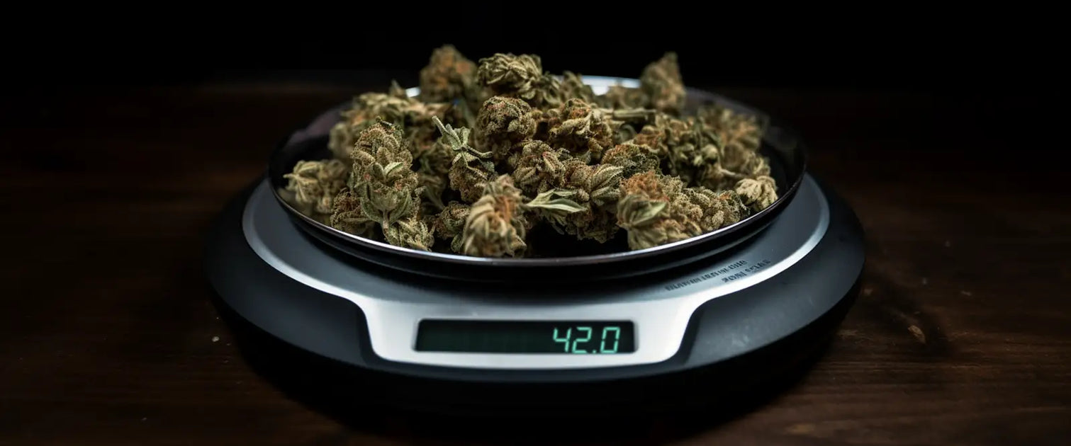 Weed Grams Guide Ounces, Quarters, Eighths and more — Mongolife