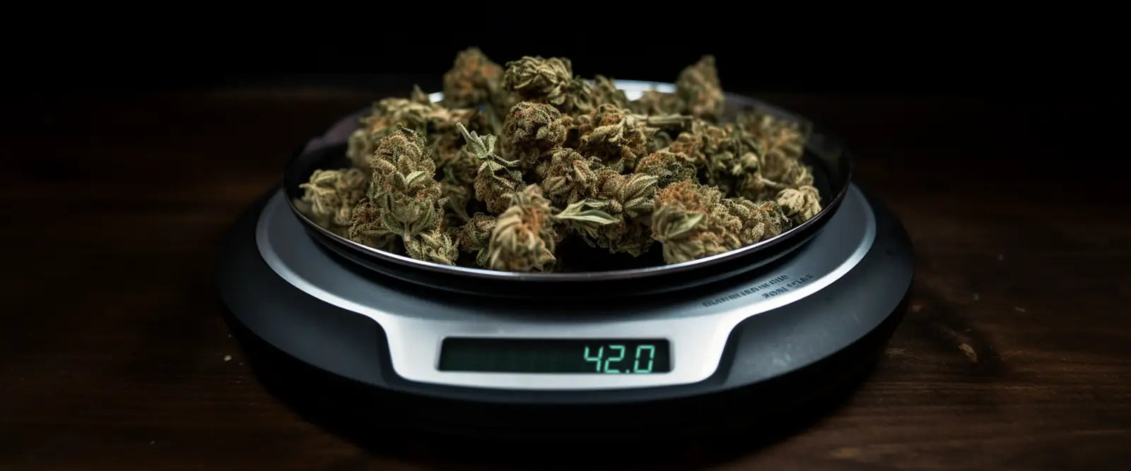 A scale with cannabis buds reading 420 on the display.