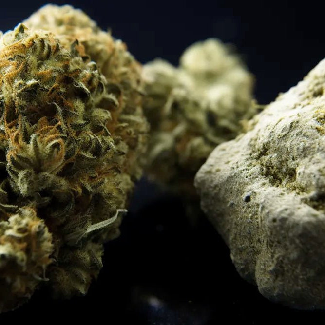 What is Moonrock Weed? The Ultimate Cannabis Experience