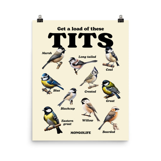 Funny illustrated poster showing various types of birds labeled as "tits."