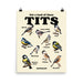 Funny illustrated poster showing various types of birds labeled as "tits."