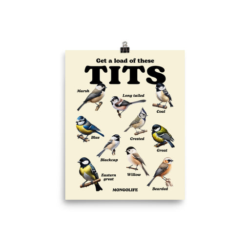 Funny illustrated poster showing various types of birds labeled as "tits."