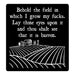 "Behold the field in which I grow my f*cks" sticker with medieval-style text and barren field illustration.