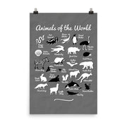 poster featuring "Animals of the World", animals, funny