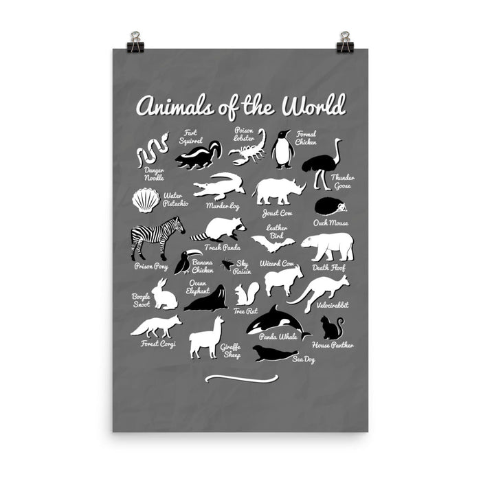 Animals of the World - Poster - Posters at Mongolife
