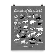 poster featuring "Animals of the World", animals, funny