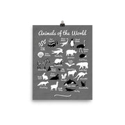 poster featuring "Animals of the World", animals, funny