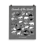 poster featuring "Animals of the World", animals, funny