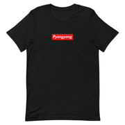 t-shirt with "Pyongyang" design, funny, parody, streetwear