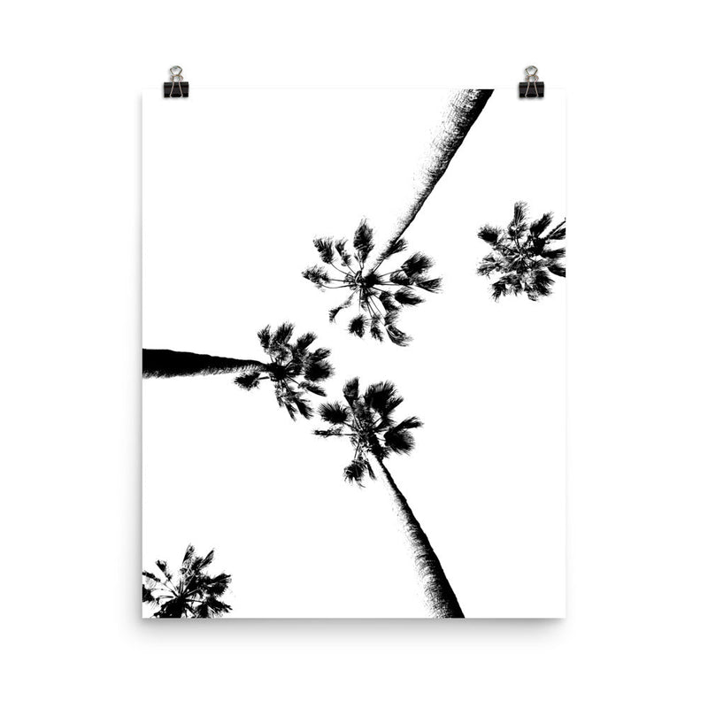poster featuring "Skyward Palms", black and white