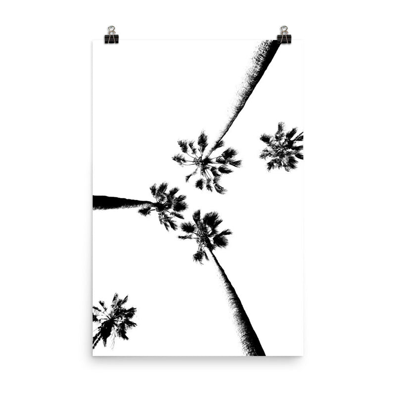 poster featuring "Skyward Palms", black and white