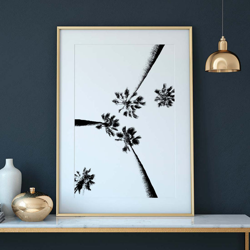 Artistic black and white silhouette of upward-view palm trees against a white background. Gold frame and interior with a blue green wall.
